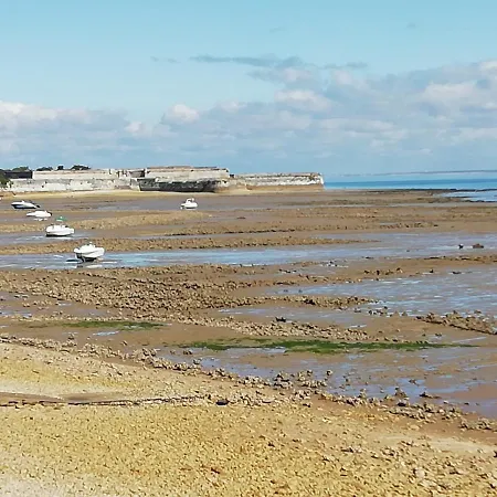 Acces Ocean Sur Grand Terrain Clos Feriehus
