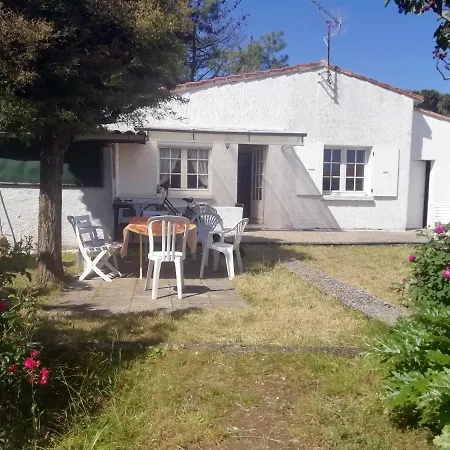Baignade Au Bout Du Jardin