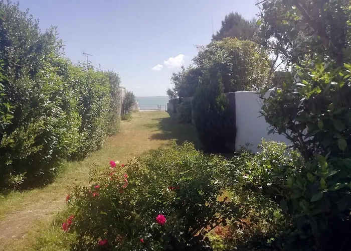 Acces Ocean Sur Grand Terrain Clos *