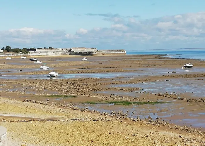 Acces Ocean Sur Grand Terrain Clos بيت للعطل